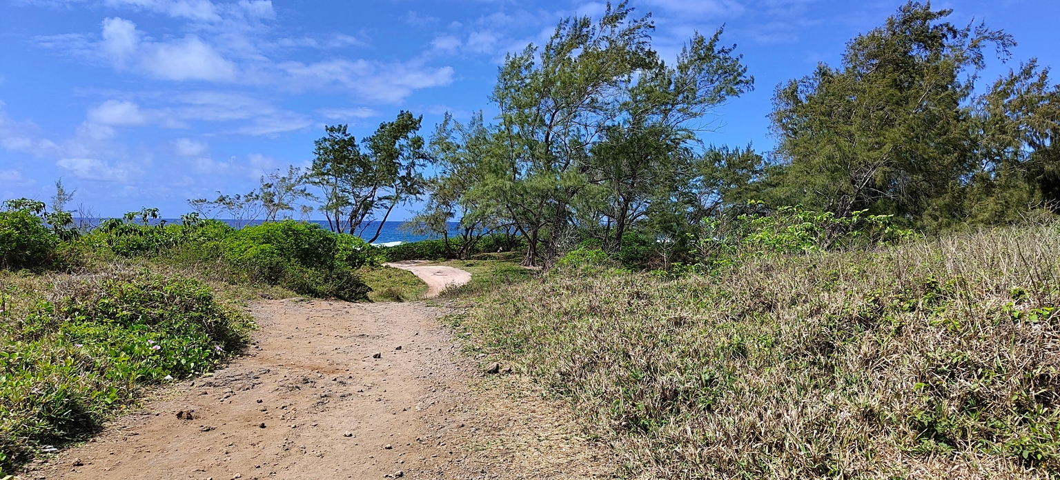 la-cambuse-public-beach.jpg