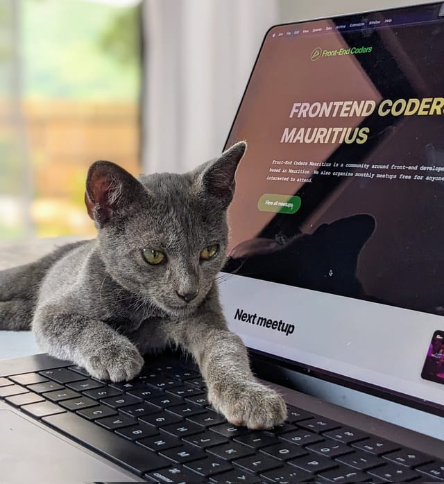 Vladimir Jiji, Frontend Developer