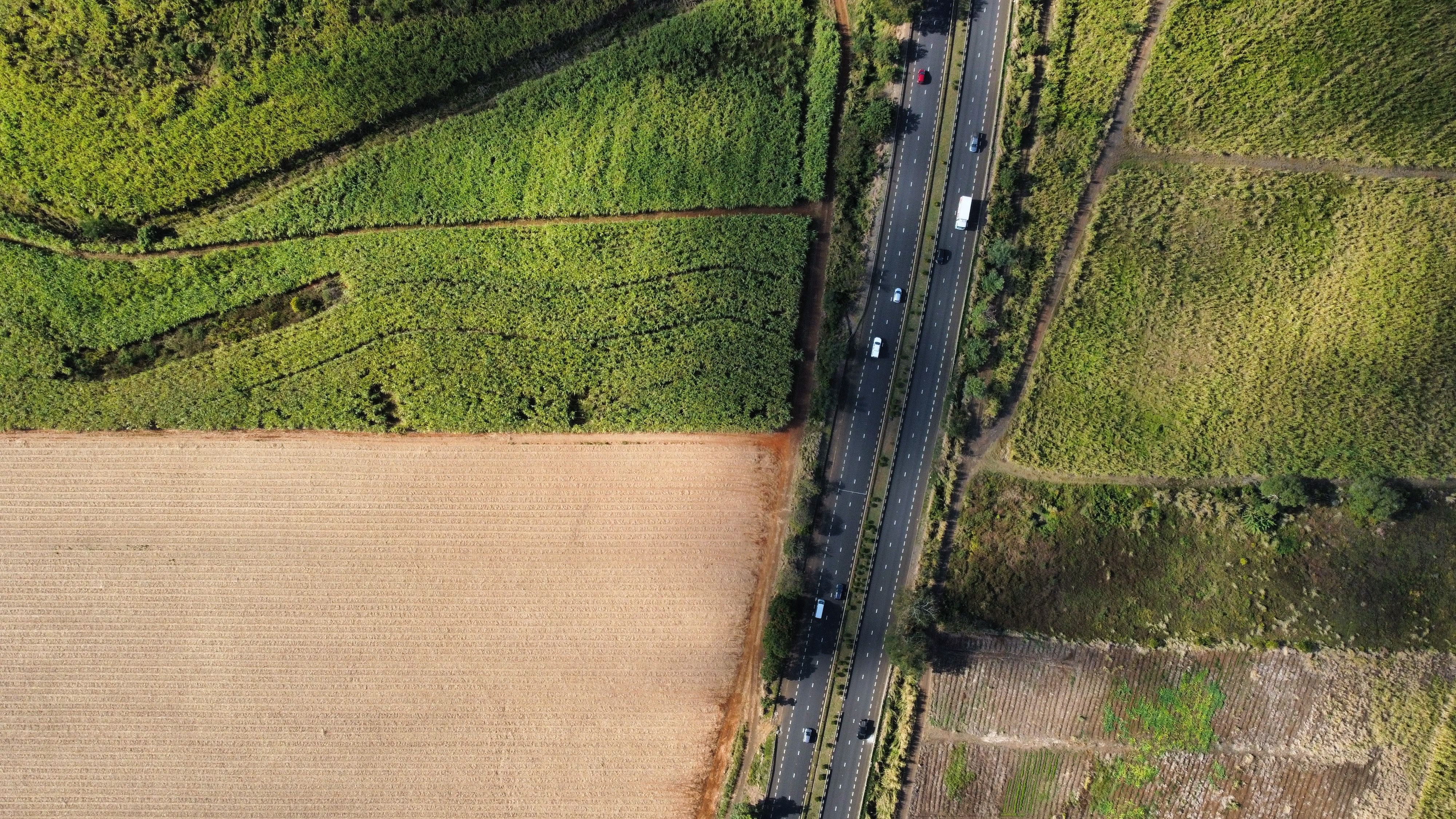 Drone View