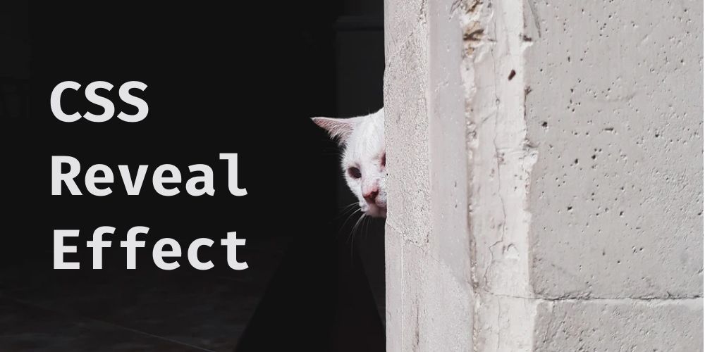 Create a reveal effect using CSS Variables & VueJS