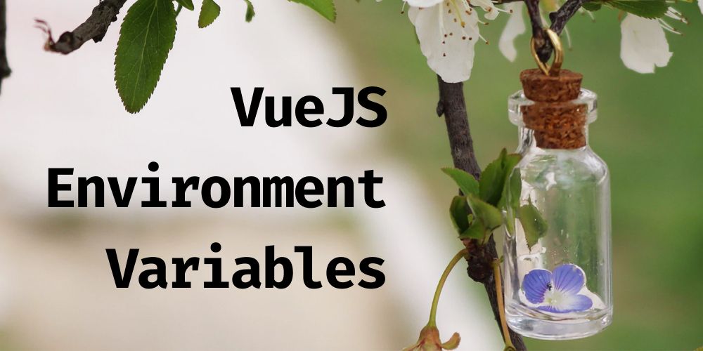 Environment Variables in VueJS